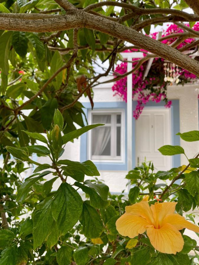 Seaside Studios Arkasa Karpathos Экстерьер фото
