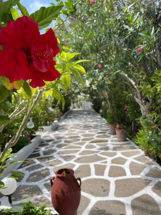 Seaside Studios Arkasa Karpathos Экстерьер фото